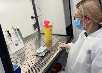 Uz gripu vlada i respiratorni sincicijski virus