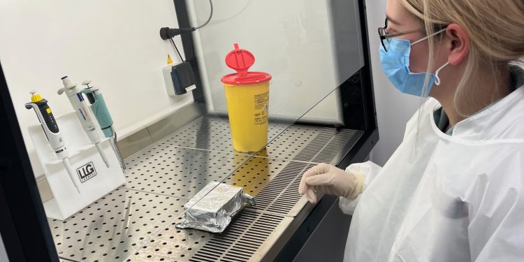 Uz gripu vlada i respiratorni sincicijski virus