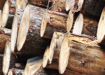 Drvoprerađivači nezadovoljni povećanjem cijena trupaca