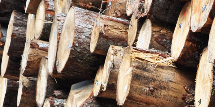 Drvoprerađivači nezadovoljni povećanjem cijena trupaca