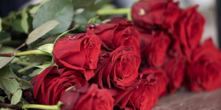 Članovi HDZ-a Bjelovarčankama čestitali Dan žena