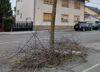 I ovog proljeća odvoz granja s kućnog praga