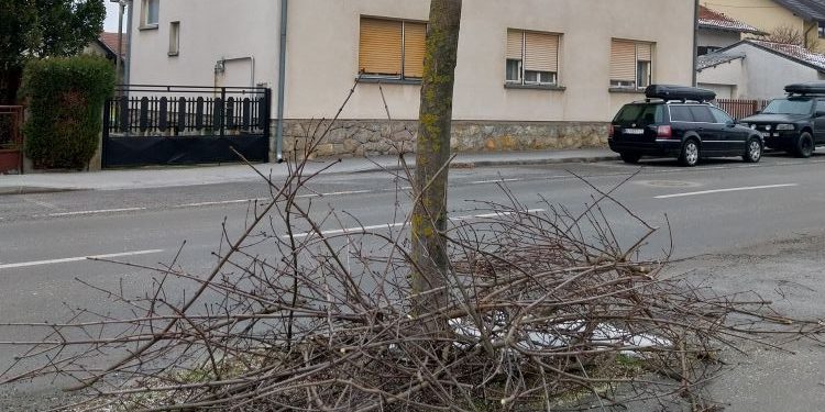 I ovog proljeća odvoz granja s kućnog praga