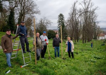 Još 300 novih stabala i grmova zasađeno u Daruvaru