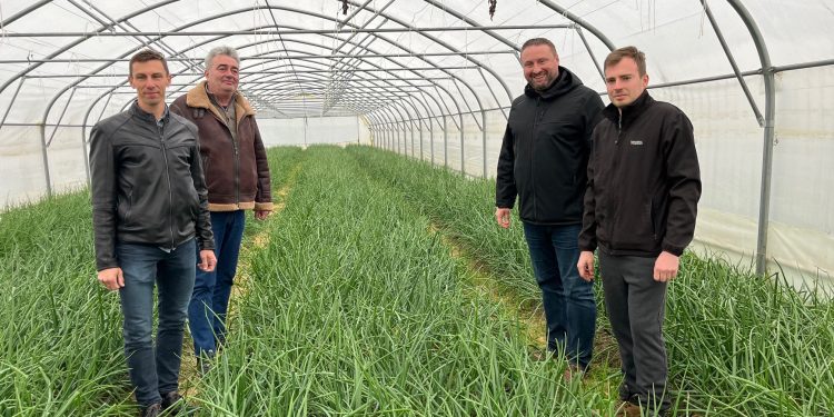 Bobinci danas sade pod osam plastenika, vjetar u leđa su potpore Grada