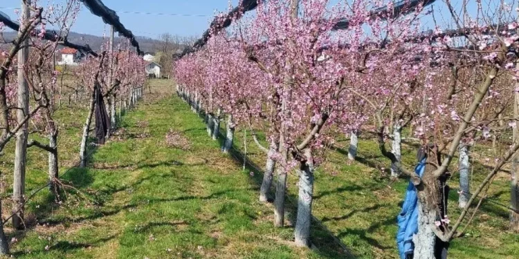 Proglašena elementarna nepogoda za općine Kapela i Rovišće