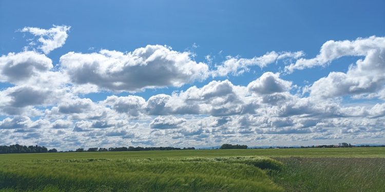 Razvoj turizma na Bilogori