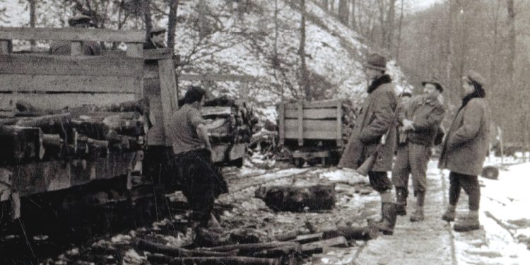 Otvorenje posebne izložbe uz Dan grada