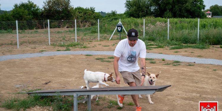 Daruvar dobio prvi park za pse: “Ovdje će psi, a i vlasnici, steći nove prijatelje”