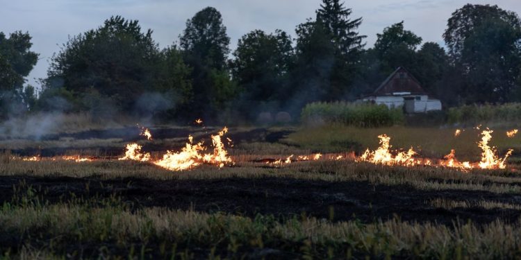 Vatra gutala teren u Kostanjevcu, policija upozorava: “Ne igrajte se s vatrom!”