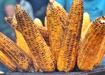 Najavljen Pečenjak fest u Velikom Trojstvu