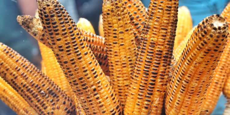 Najavljen Pečenjak fest u Velikom Trojstvu