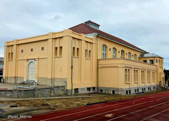 Skinute skele s kolijevke bjelovarskog sporta