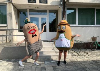 Sutra počinju Dani krumpira u Hercegovcu: Koncerti, sportske igre i bogata gastro ponuda