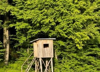 Oglasili se lovci: “Interes je drugi. Gospoda bi vodila kadrovsku i gospodarsku politiku L. U.”