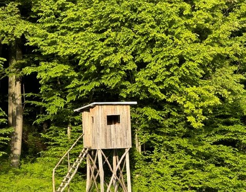 Oglasili se lovci: “Interes je drugi. Gospoda bi vodila kadrovsku i gospodarsku politiku L. U.”