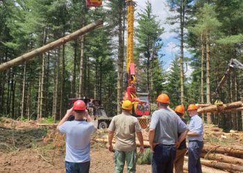 Glavnina akcije odnosi se na bjelovarsko područje, pogodovali drvoprerađivačima i primali mito