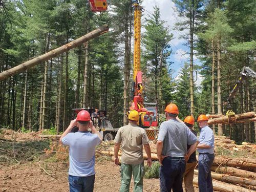 Glavnina akcije odnosi se na bjelovarsko područje, pogodovali drvoprerađivačima i primali mito