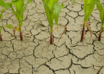 Proglašena prirodna nepogoda za niz općina i dva grada