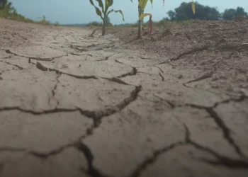 Prirodnu nepogodu Marušić proglasio i za općinu Berek