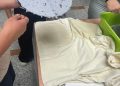 Pomozite Zelenoj knjižnici da prikupi domaće, jestive biljke