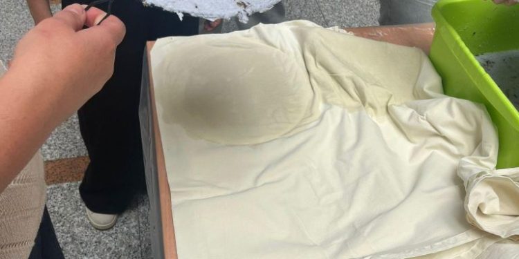 Pomozite Zelenoj knjižnici da prikupi domaće, jestive biljke