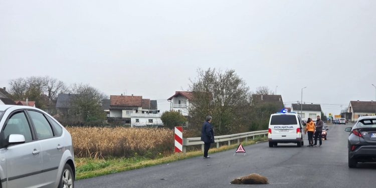 Kolona na južnoj obilaznici zbog naleta na divlju svinju