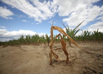 Marušić prirodnu nepogodu zbog suše proglasio i za grad Bjelovar, rok za prijavu osam dana