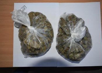 Policija u pretrazi bjelovarskog stana pronašla drogu i gotovo četiri tisuće eura