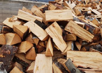 Još jedno poskupljenje u nizu: drva skuplja, a zima još traje