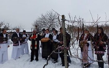 Uz blagoslov trsja i čašu vina Daruvar obilježava Vincekovo