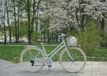 Direktorici Turističke zajednice Bilogora-Bjelovar ukraden rijedak i lako prepoznatljiv bicikl