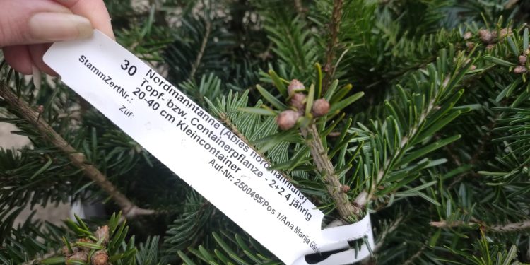 Kako pravilno posaditi voćku i osigurati dugoročan urod: besplatna radionica CONGRUO d.o.o. u Bjelovaru