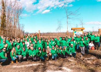 Dukat sadi 16 tisuća hrastova u okolici Bjelovara