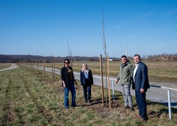 Hipodrom, igralište i vrtić dobivaju novo ruho, stiže 159 sadnica