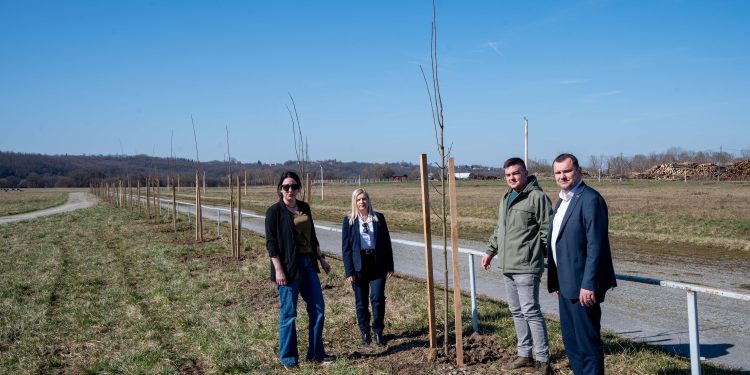 Hipodrom, igralište i vrtić dobivaju novo ruho, stiže 159 sadnica