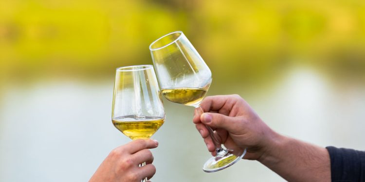 Spektakl mladih vina u Bjelovaru: Više od 70 uzoraka u borbi za titulu najboljih