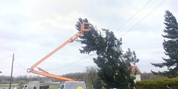 OPREZ Lug blokiran, u Rovišću kod ribnjaka zaustavljen promet, golemo stablo se srušilo na cestu
