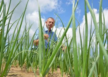 Marijo Puškarić: “Svjesno sam obrađivao državno zemljište, to je bila jedina razumna opcija”