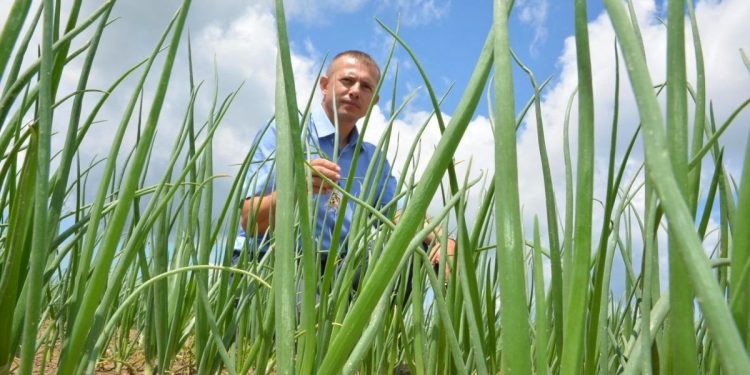 Marijo Puškarić: “Svjesno sam obrađivao državno zemljište, to je bila jedina razumna opcija”