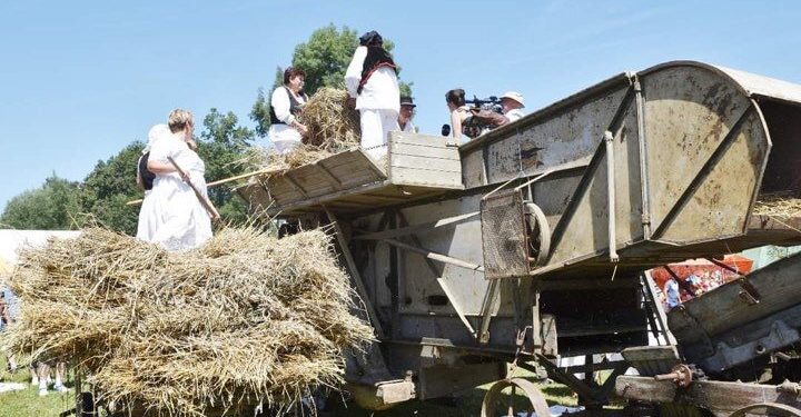 Vraća se miris pokošenog žita i zvuk konjskih zaprega: U Bereku ove nedjelje 21. “Žetva na starinski način”
