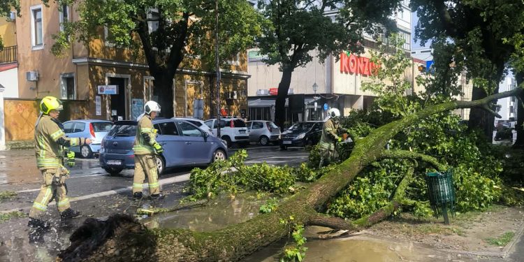 Olujno nevrijeme u kratkom roku poharalo Bjelovar, velike grane padale uz automobile i nogostupe