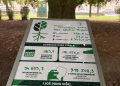 Jeste li znali koliko jedno veliko stablo vrijedi? Bjelovarska crvenolisna bukva sada otkriva svoje „skrivene“ dobrobiti