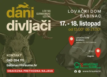 Dani divljači u Babincu: Ovog vikenda uživanje u domaćim specijalitetima i okusima divljači