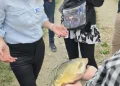 Nekad su proizvodili 1.800 tona ribe, danas samo 300! Ribnjaci Končanica pred velikim izazovom, ali imaju plan za budućnost