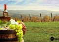 Martinje u Martincu: Sprema se veselo druženje uz glazbu, vino i tradicionalno krštenje mošta!