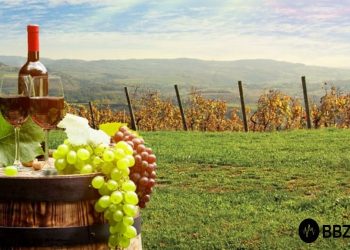 Martinje u Martincu: Sprema se veselo druženje uz glazbu, vino i tradicionalno krštenje mošta!