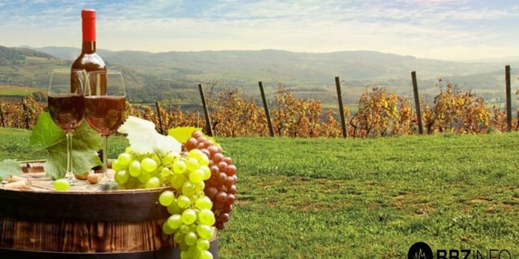 Martinje u Martincu: Sprema se veselo druženje uz glazbu, vino i tradicionalno krštenje mošta!