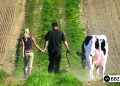 Važna obavijest za stočare! U ponedjeljak se održava obavezno predavanje, evo gdje i kada