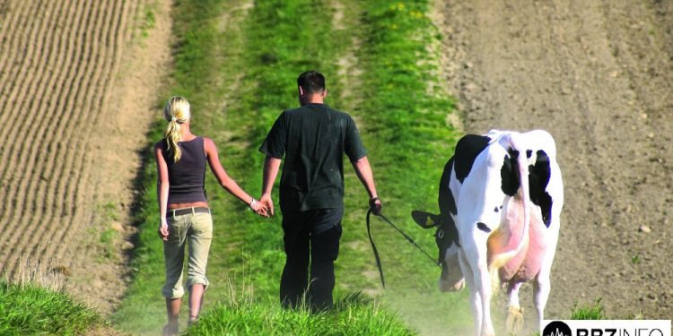 Važna obavijest za stočare! U ponedjeljak se održava obavezno predavanje, evo gdje i kada